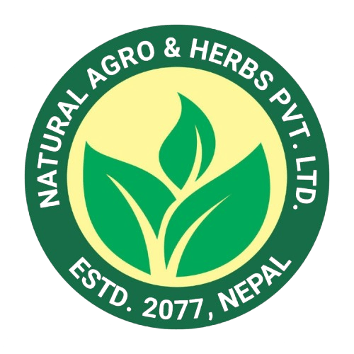 Logo | Natural Agro and Herbs